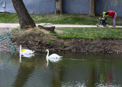 Прогноз погоды в Воронеже на воскресенье, 12 мая