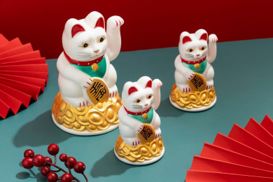 Каждый 4-й воронежский родитель выступил за обязательное изучение китайского языка в школах 