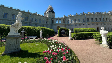 Дворцы и водопады: 5 мест в Ленинградской области, которые стоит посетить воронежцам