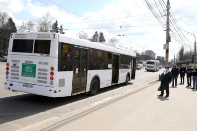 «Толпа 40 минут ждёт на остановке»: воронежцы пожаловались на график автобусов