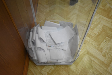 Женщине, испортившей бюллетени зелёнкой, вынесли приговор в Воронежской области