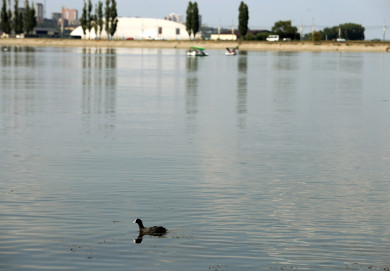 Воронежцы жалуются на сильный химический запах в разных районах города