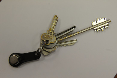 Четверо сирот остались без дома после пожара в Воронежской области