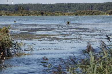 14 человек утонули в Воронежской области