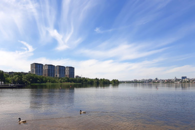Пропажа девочек и буйство стихии. Главные новости Воронежа и области за 9 июля
