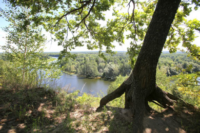 Воронежский синоптик рассказал, когда отступит изнуряющая жара