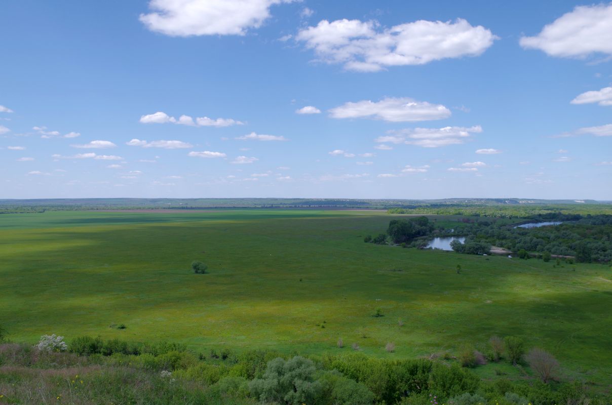 Синоптик рассказал, какая погода ждёт воронежцев в&nbsp;августе