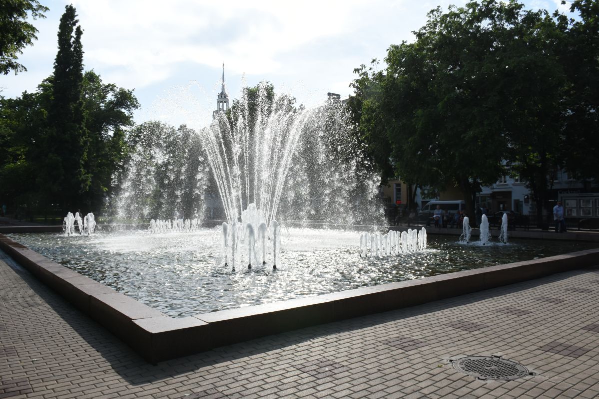 Коммунальщики попросили десантников не&nbsp;купаться в&nbsp;фонтанах в&nbsp;Воронеже