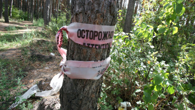 «Лучше бы наш лес вообще не трогали»
