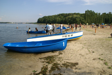 Жара до +35° возвращается: прогноз погоды в Воронеже на рабочую неделю