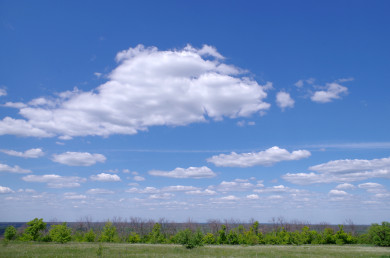 Прогноз погоды в Воронеже на вторник, 27 августа