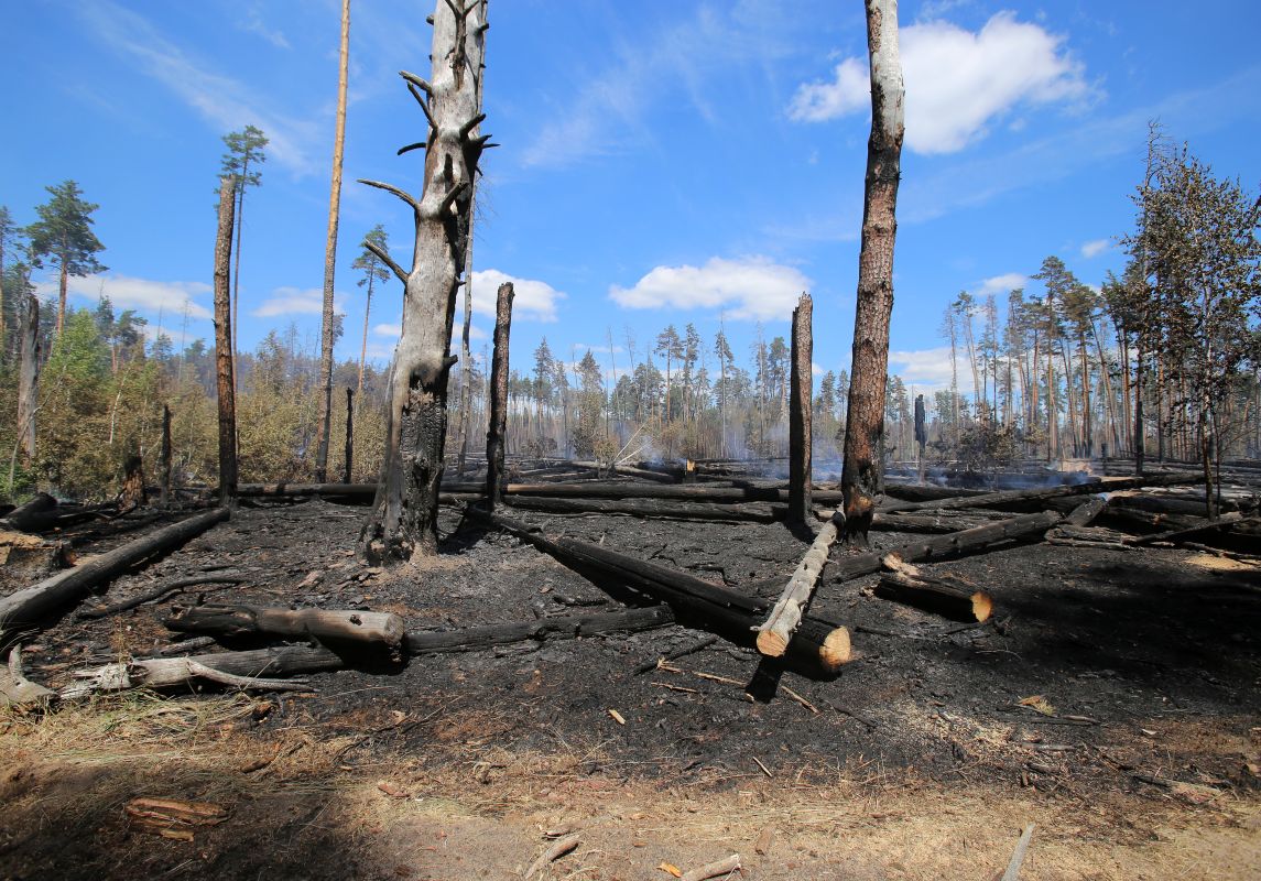 Названа причина пожара у&nbsp;воронежской областной больницы