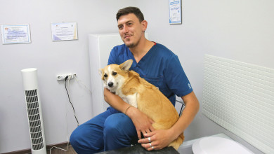 Воронежский ветеринар-онколог рассказал, как уберечь питомца от рака