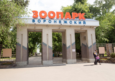 Режим работы Воронежского зоопарка изменился