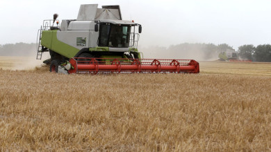 Плохой урожай и высокие цены: что может натворить засуха в Воронежской области