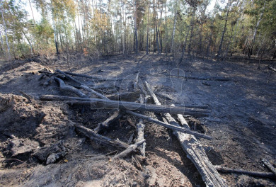 Назвали причину серьёзного пожара под Воронежем