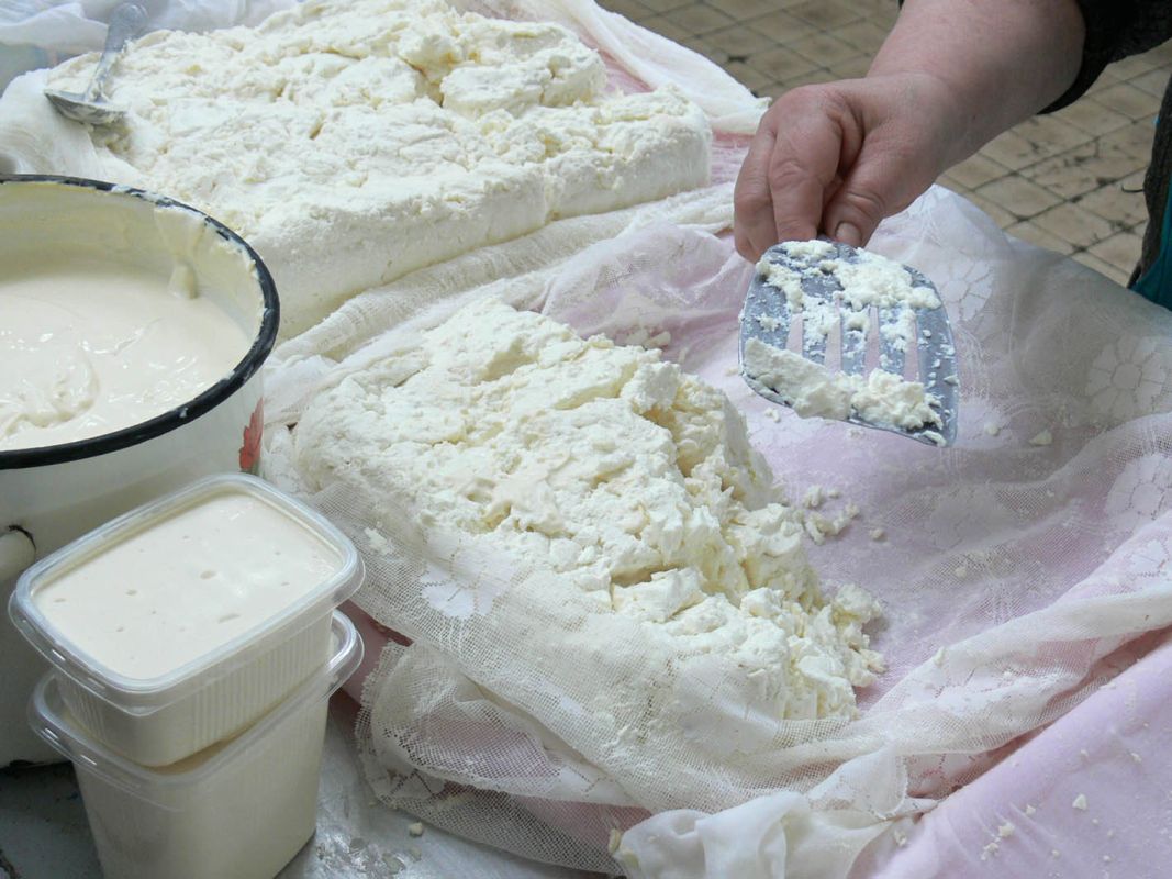 Заставочное фото