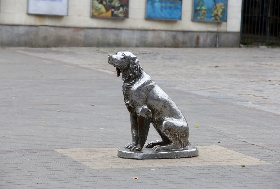 Погибший в&nbsp;ДТП депутат и&nbsp;нападение ондатры. Главные новости Воронежской области за&nbsp;12 октября