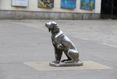 Погибший в ДТП депутат и нападение ондатры. Главные новости Воронежской области за 12 октября