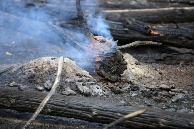 Тело женщины нашли на пепелище в воронежском селе