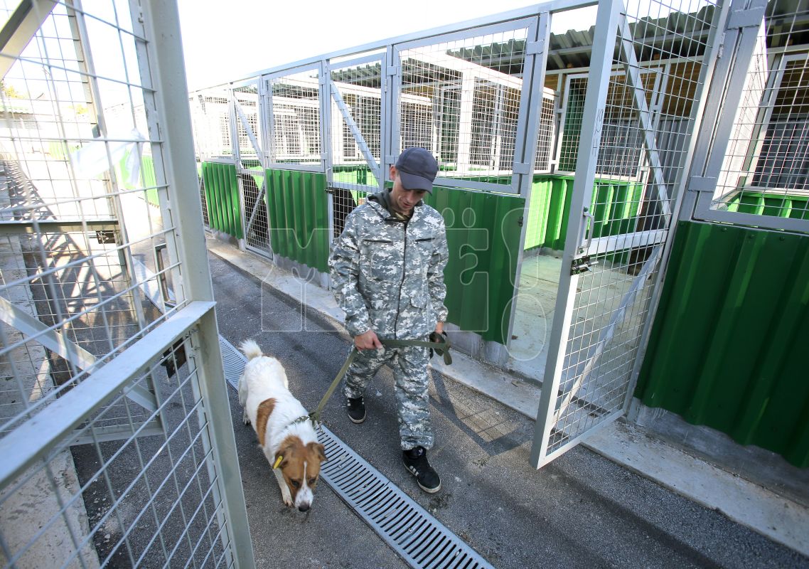 Муниципальный приют-долгострой для собак открылся в Воронеже