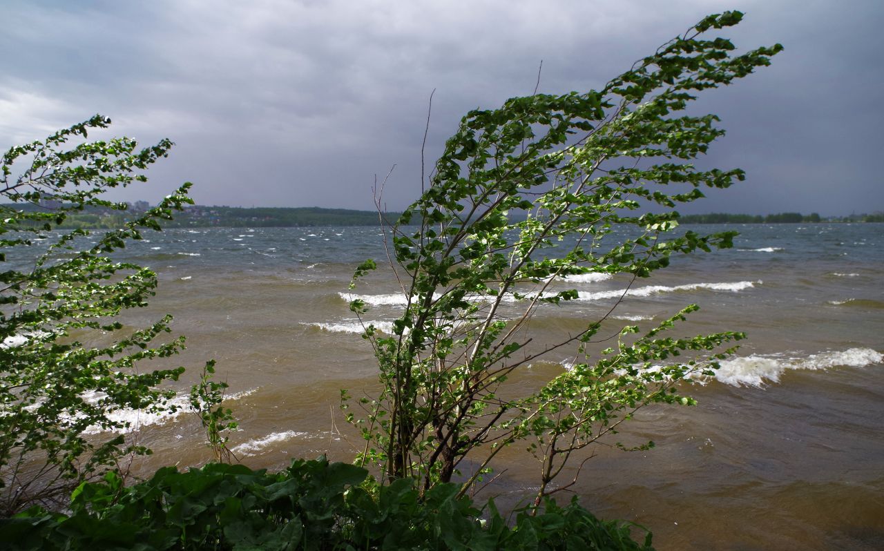 Опасное погодное явление обрушится на&nbsp;Воронежскую область