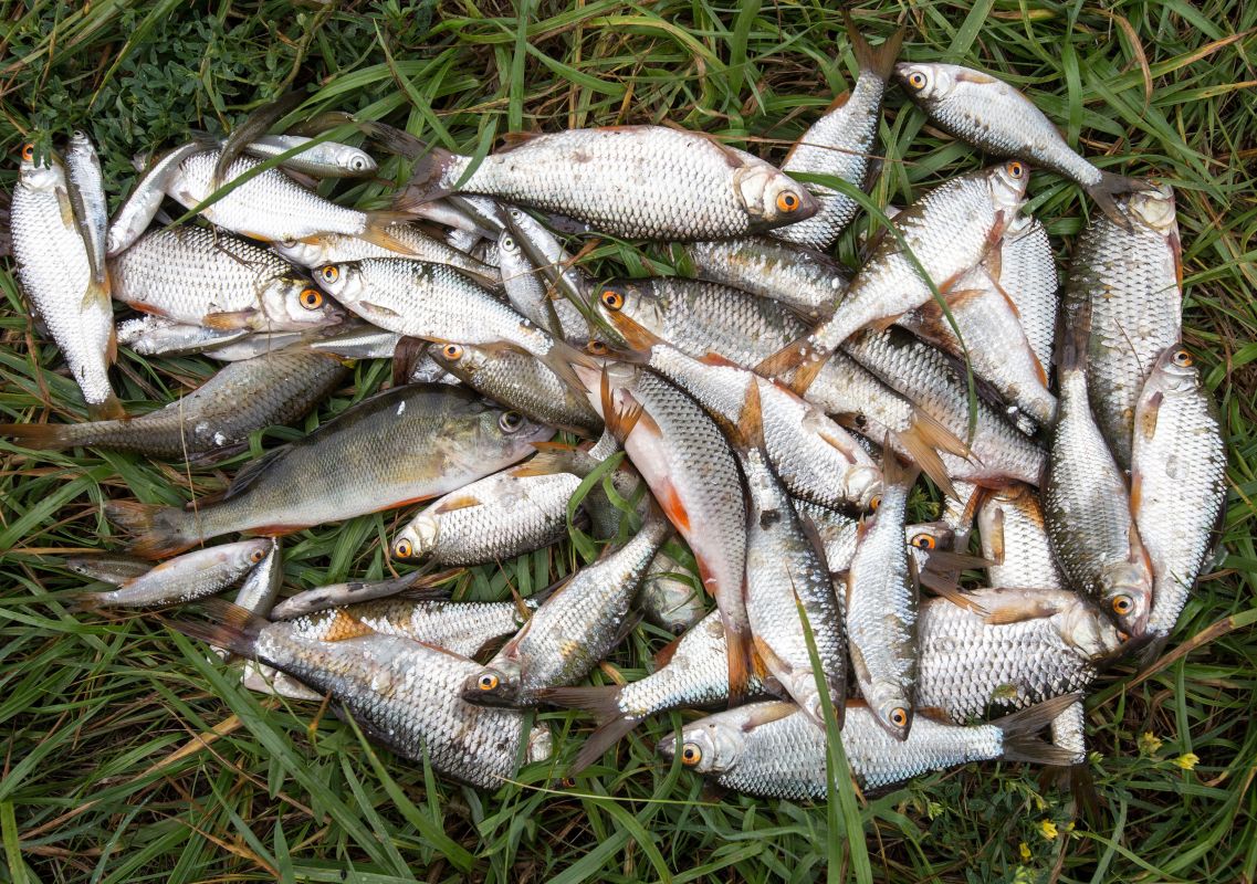 Заставочное фото