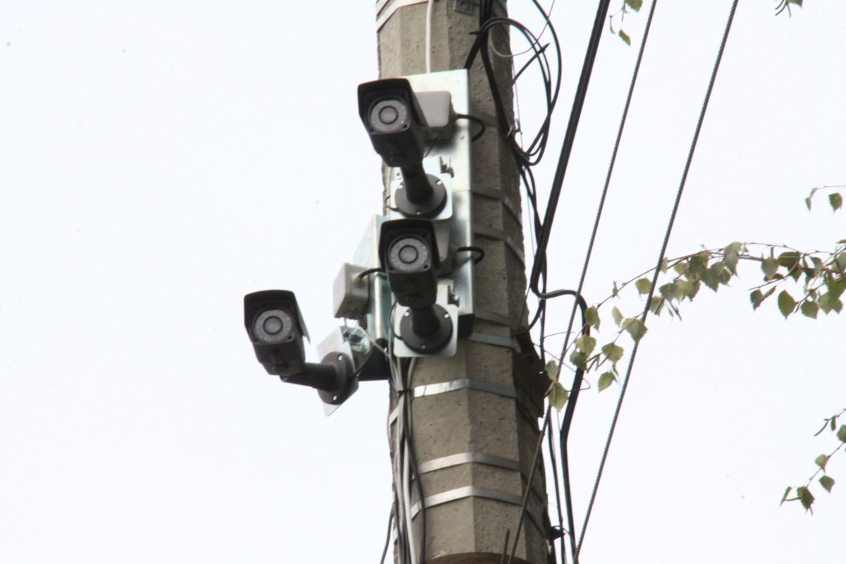 Заставочное фото