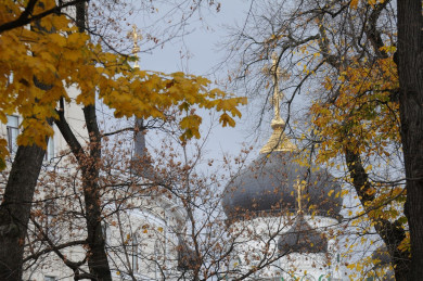 Прогноз погоды в Воронеже на воскресенье, 3 ноября