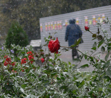 Два опасных погодных явления обрушатся на Воронежскую область