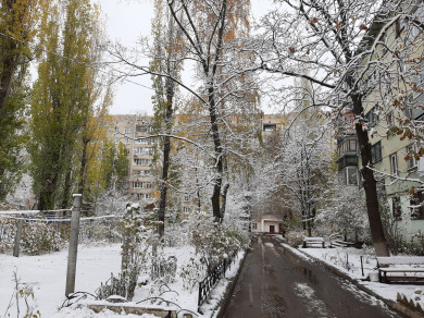 Сильнейший снегопад обрушился на Воронеж — синоптики ввели метеопредупреждение