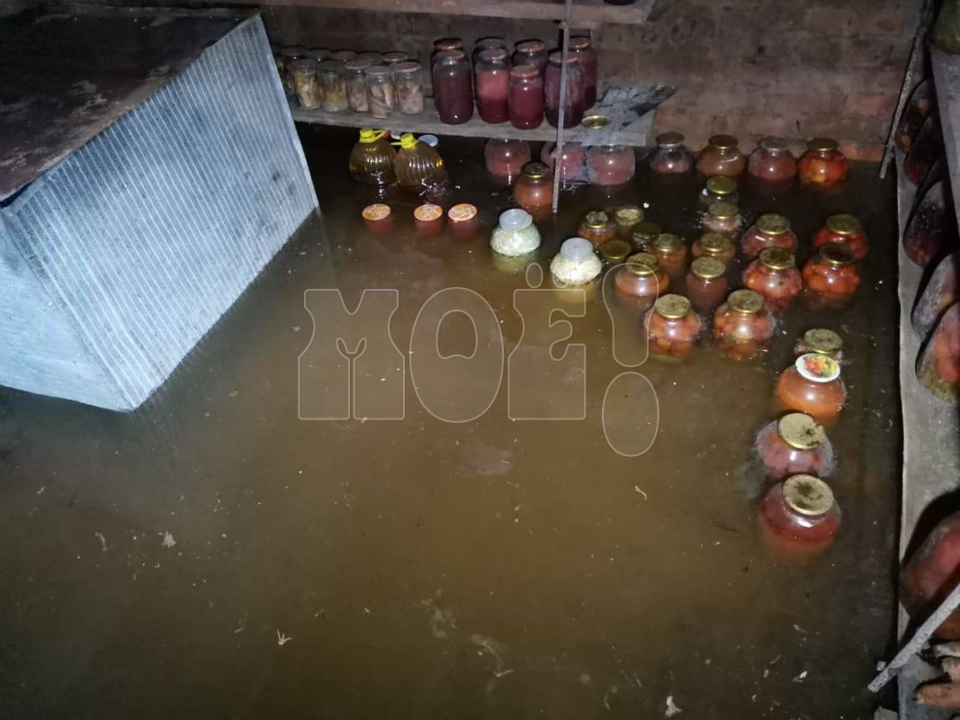 «Банки плавают, воды по&nbsp;колено». Почему тонет дом героя публикаций «МОЁ!»