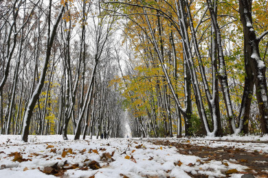 Прогноз погоды в Воронеже на среду, 6 ноября