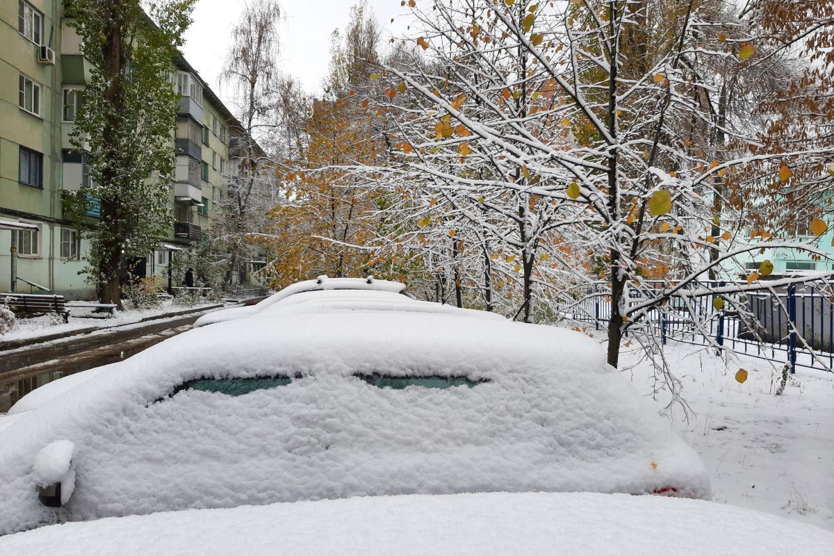 Взрыв газа в многоэтажке и страшная находка в водохранилище. Главные новости Воронежа и области за 6 ноября