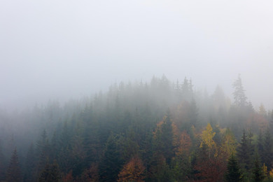 Опасное погодное явление надвигается на Воронежскую область