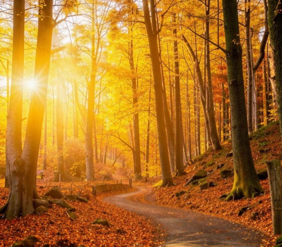 Семерых пропавших без&nbsp;вести нашли погибшими в&nbsp;Воронежской области