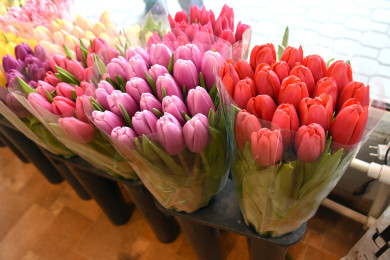 Внезапный подарок может обернуться потерей денег для воронежцев