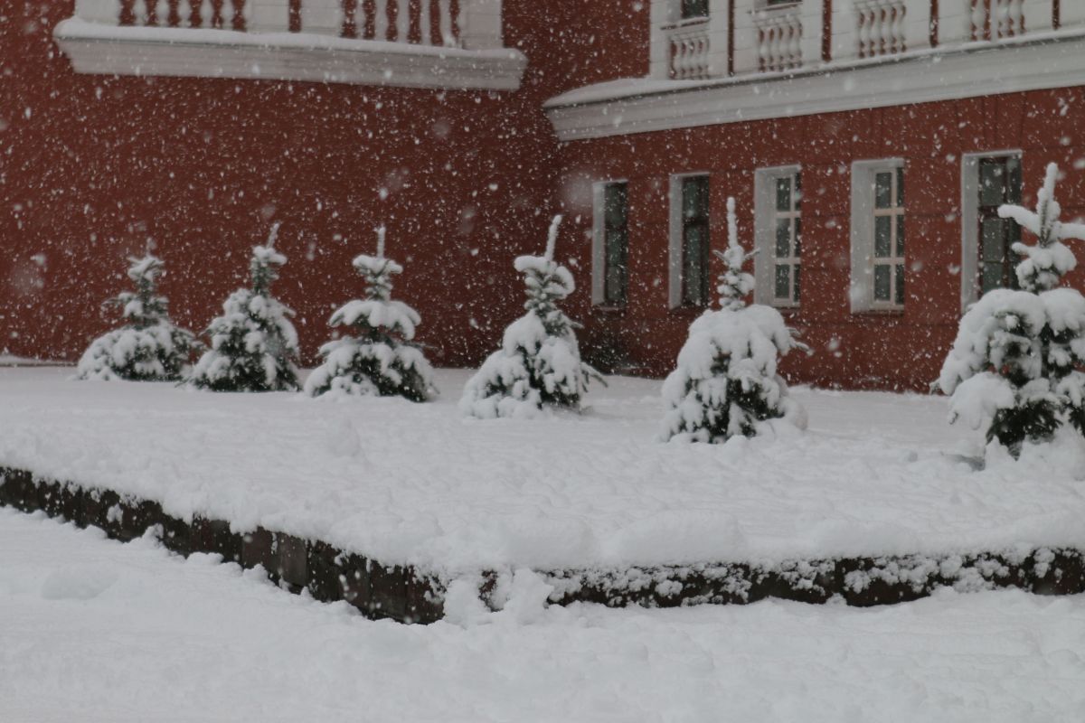 Прогноз погоды в Воронеже на четверг, 14 ноября