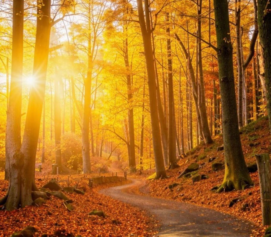 Женщина с&nbsp;провалами в&nbsp;памяти пропала в&nbsp;Воронеже