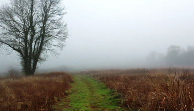 Опасное погодное явление накроет Воронежскую область