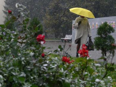 Подозреваемый в убийстве полицейский и пожар в вузе. Главные новости Воронежа и области за 20 ноября