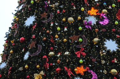 Новогоднюю ёлку начали собирать на центральной площади Воронежа (ВИДЕО)