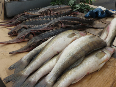 Мужчина украл замороженную рыбу на 17 000 рублей из воронежского киоска