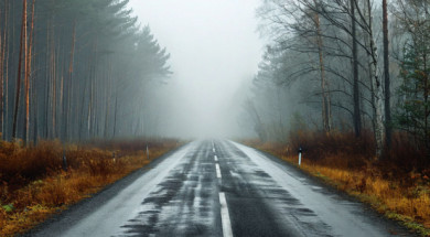 Воронежских водителей предупредили об опасности на одной из трасс региона