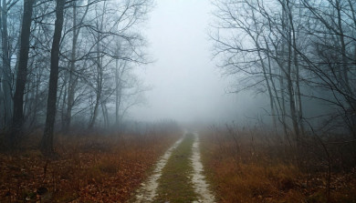 Опасное погодное явление надвигается на Воронежскую область