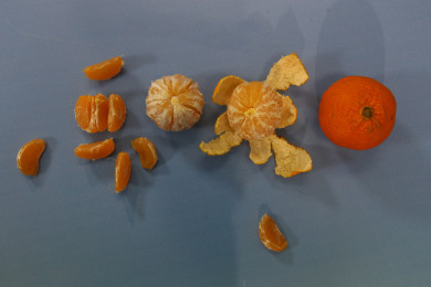 Мандарины на любой вкус: о сортах новогодних цитрусов рассказали специалисты