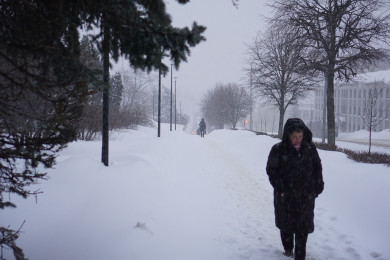Выяснилось, когда морозы до -10° нагрянут в Воронеж