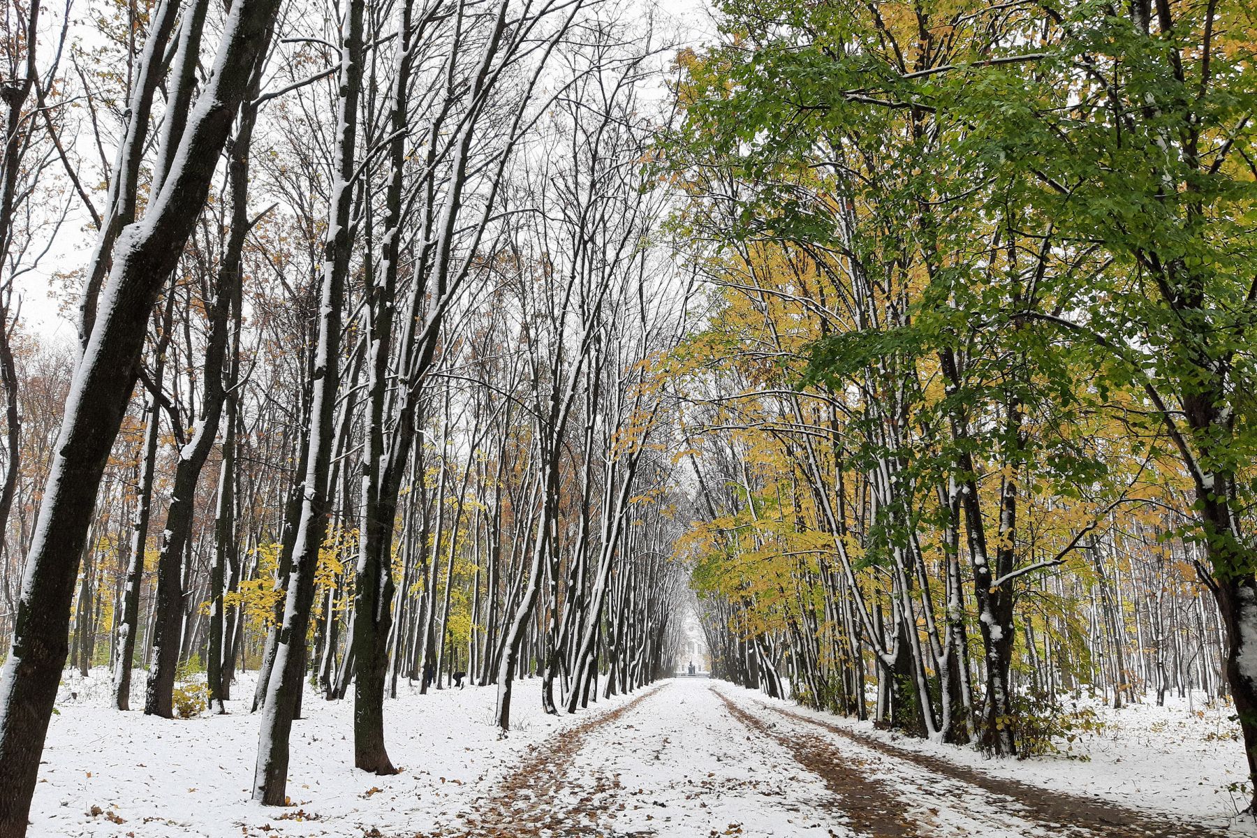 Заставочное фото