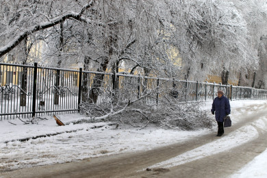 Острая нехватка снега ожидается в Воронеже