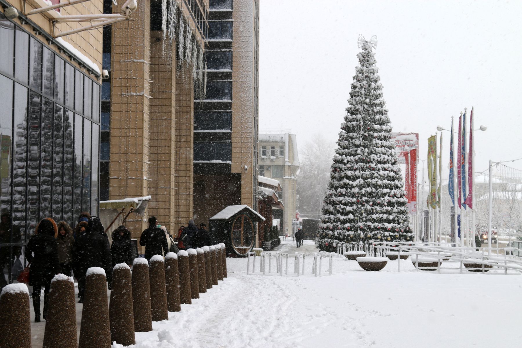 Обращение воронежцев и&nbsp;видео страшного ДТП. Главные новости Воронежа и&nbsp;области за&nbsp;10 декабря